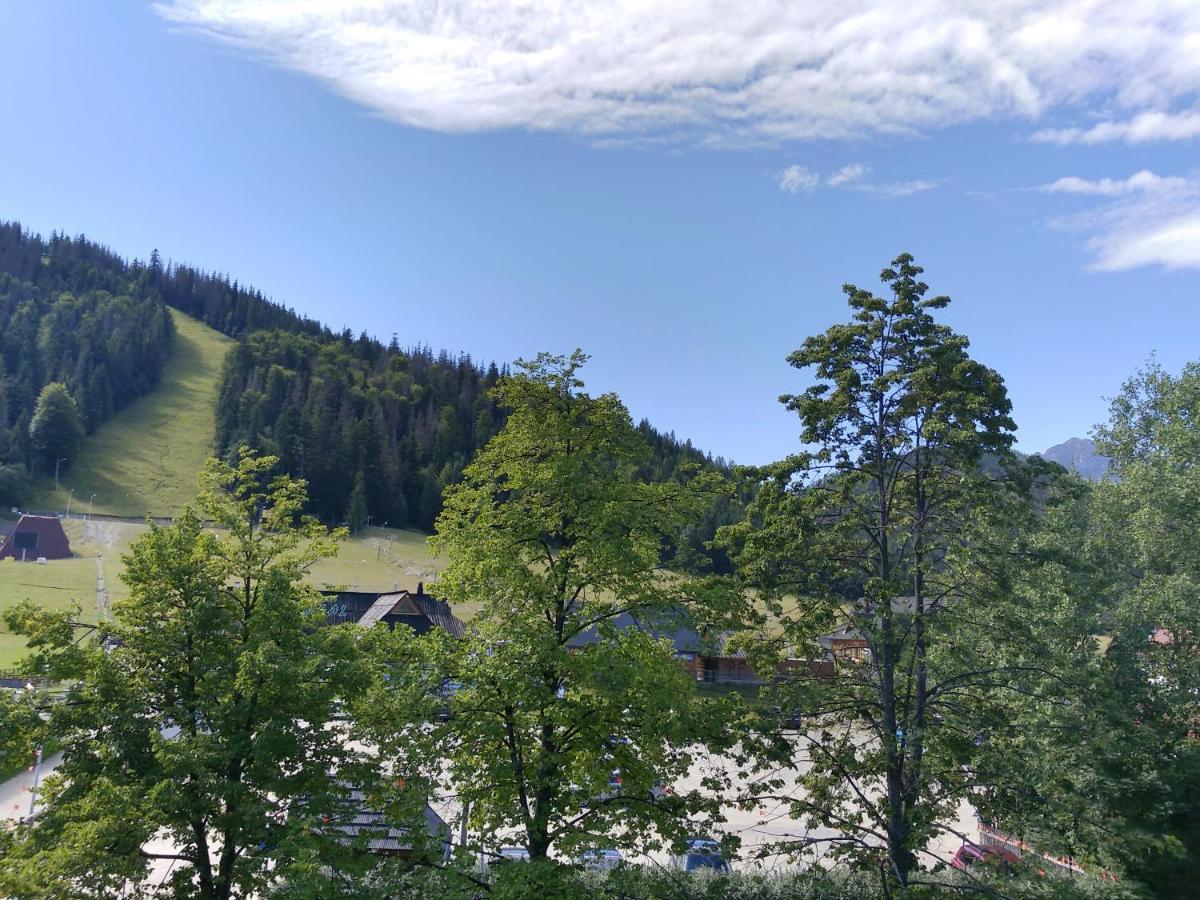 Ania Wynajem Pokoi Apartamento Zakopane Exterior foto